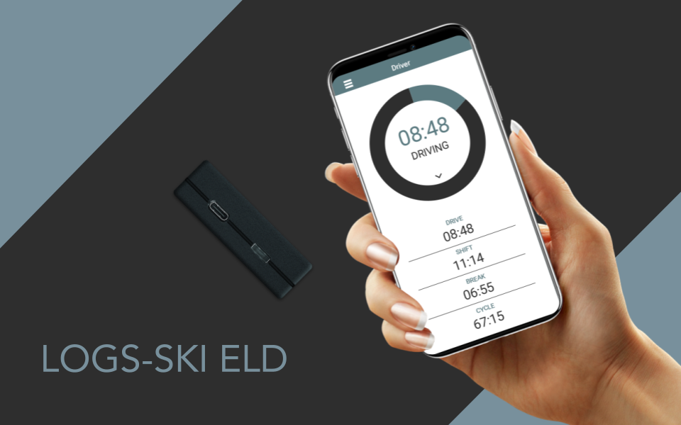 Product image for LOGS-SKI ELD