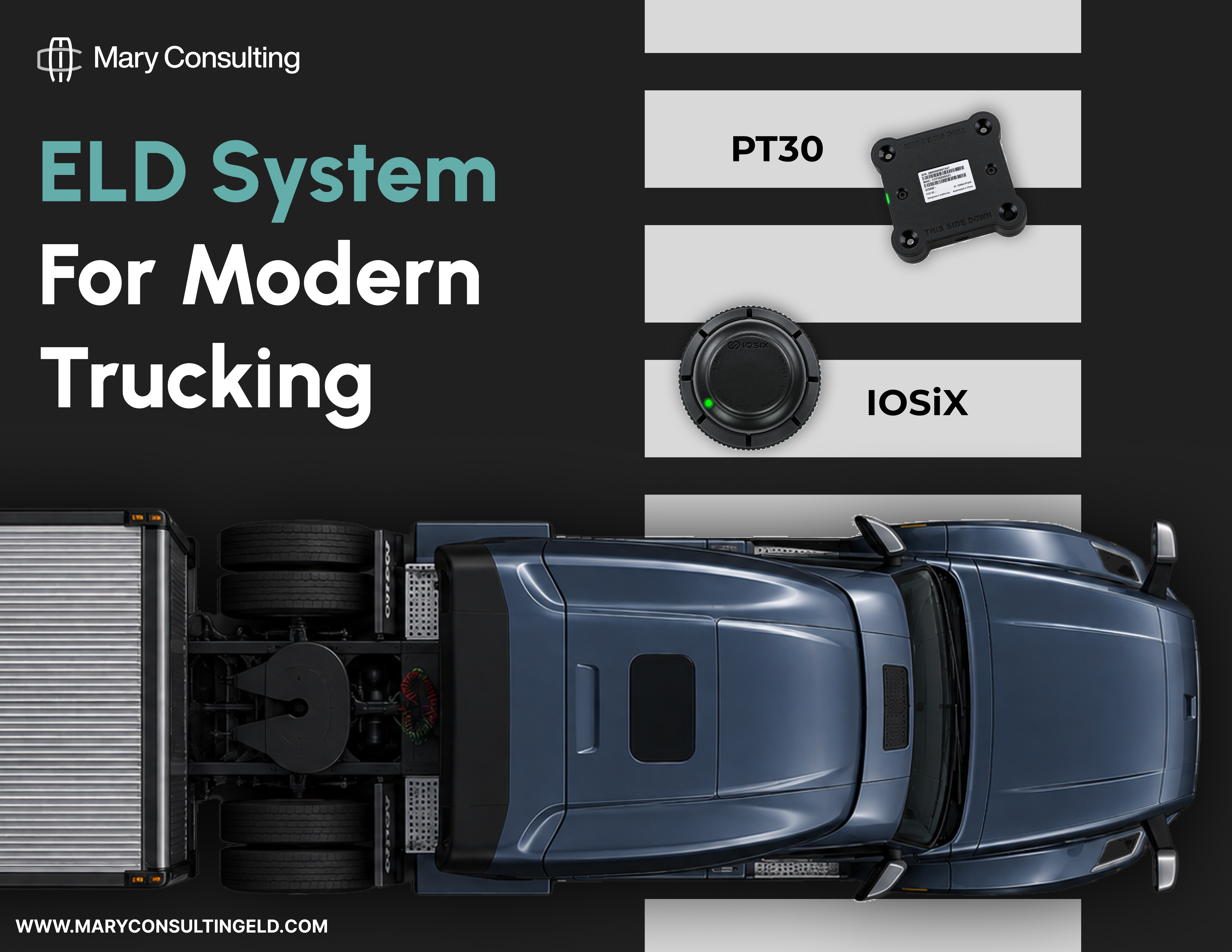 Product image for Mary Consulting ELD