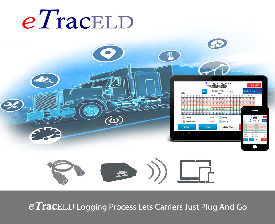 Product image for .NoFeeELD